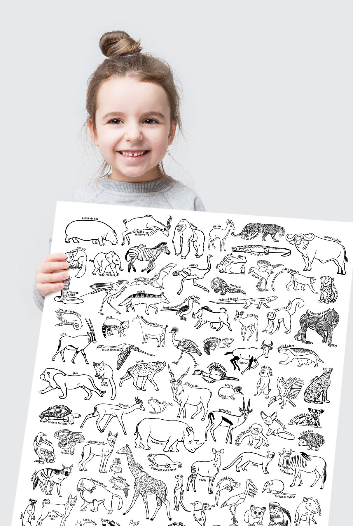 100 African Animals Coloring Poster