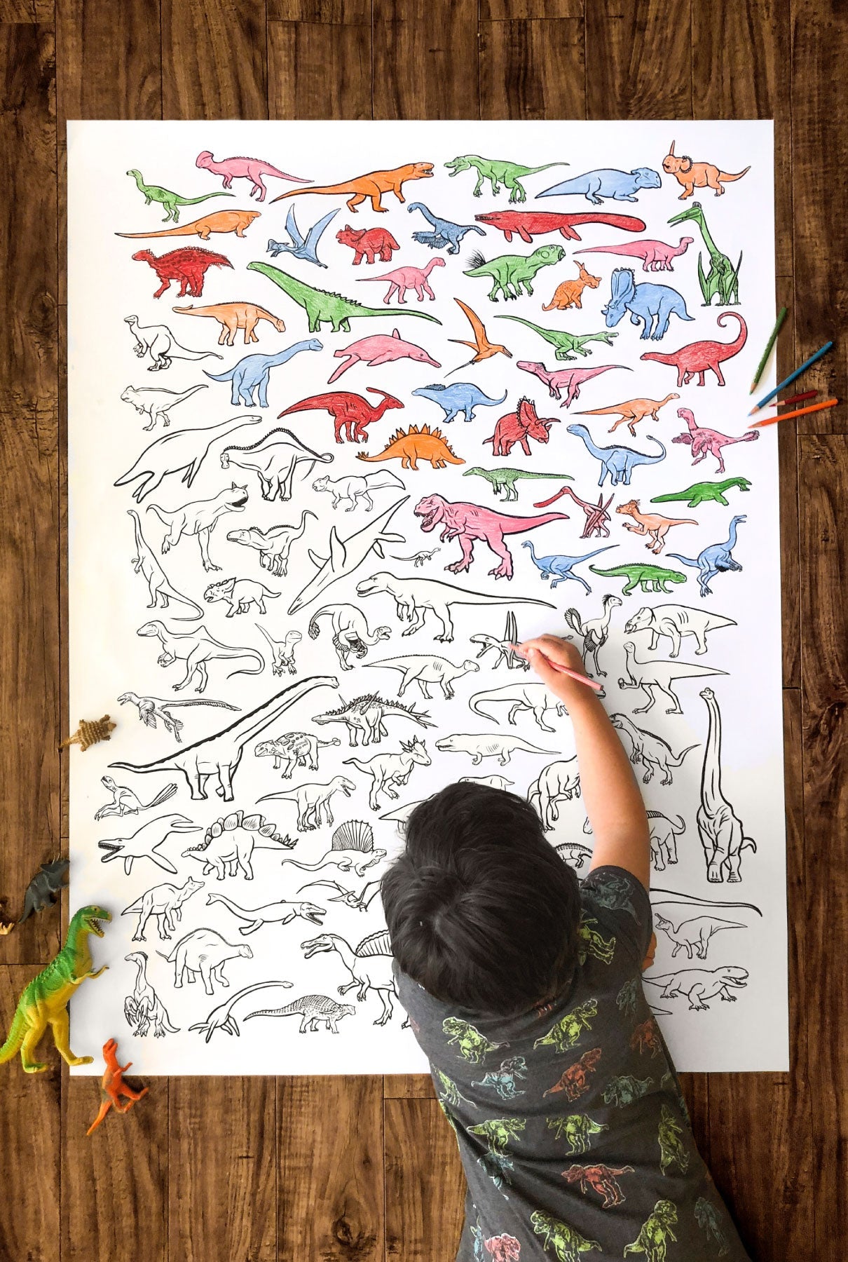 100 Dinosaurs Coloring Poster
