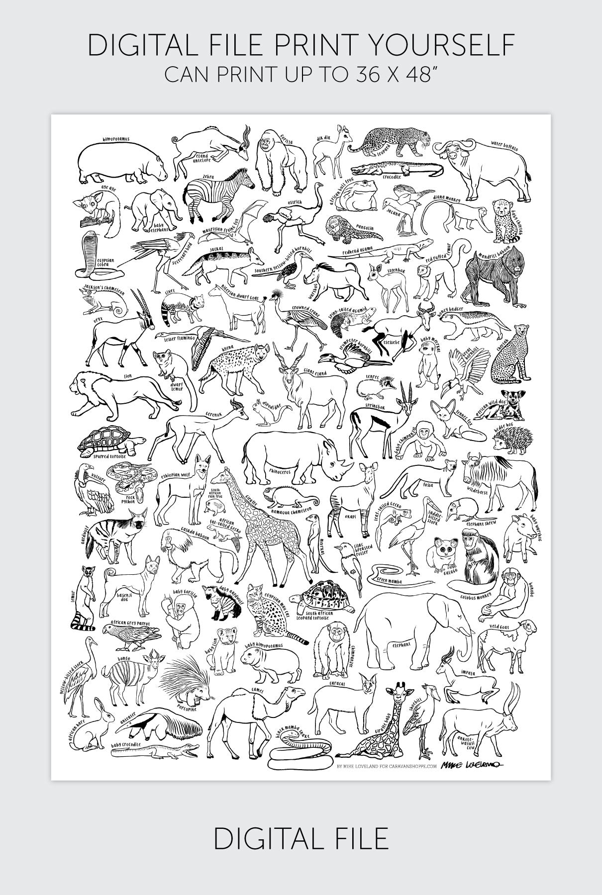 100 African Animals Coloring Poster