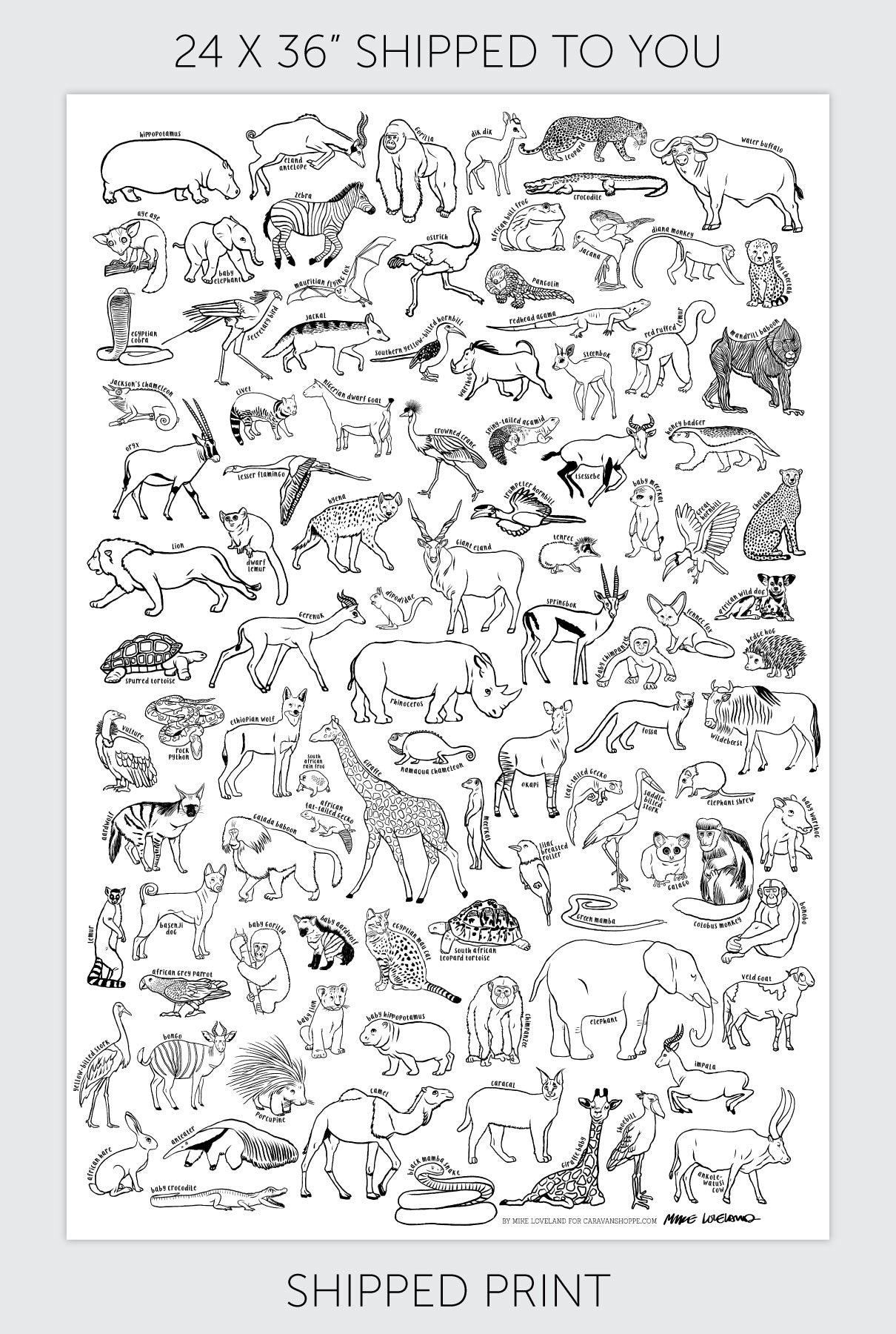 100 African Animals Coloring Poster