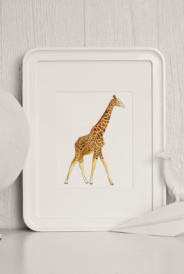 The Zoo: Watercolor Animals