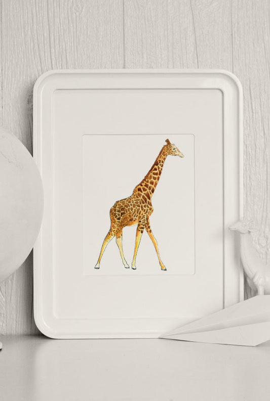 The Zoo: Watercolor Animals