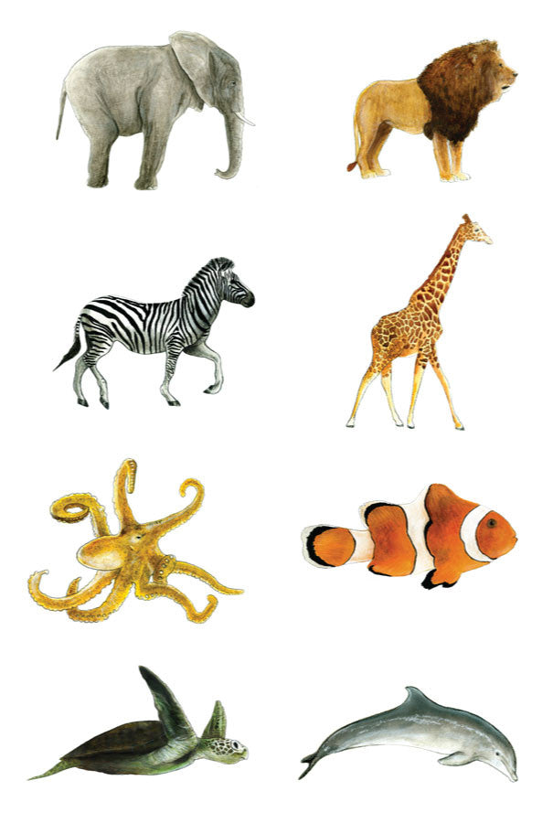 The Zoo: Watercolor Animals